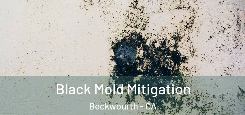 Black Mold Mitigation Beckwourth - CA