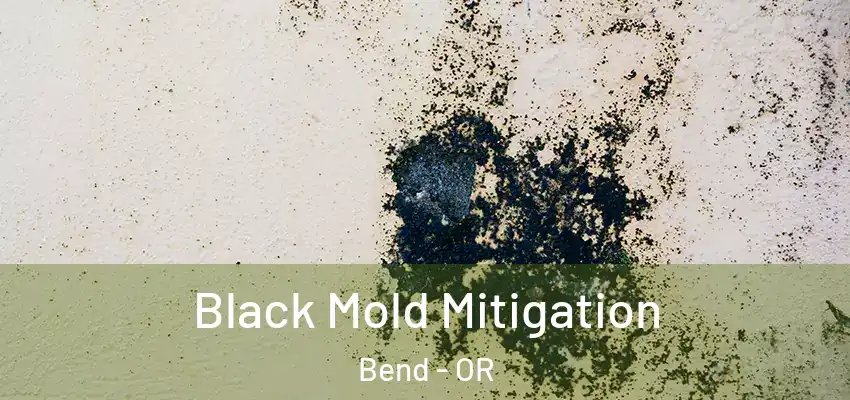  Black Mold Mitigation Bend - OR