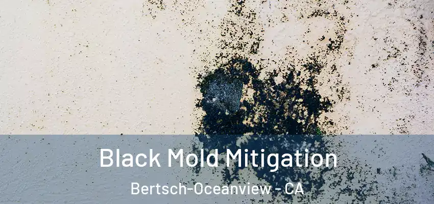  Black Mold Mitigation Bertsch-Oceanview - CA