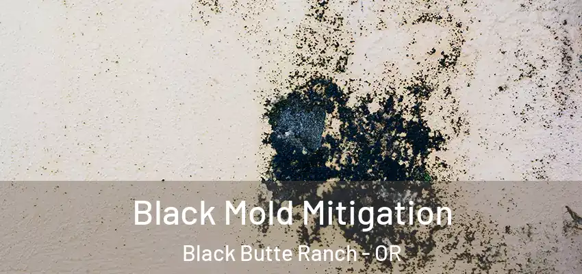  Black Mold Mitigation Black Butte Ranch - OR