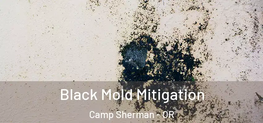  Black Mold Mitigation Camp Sherman - OR
