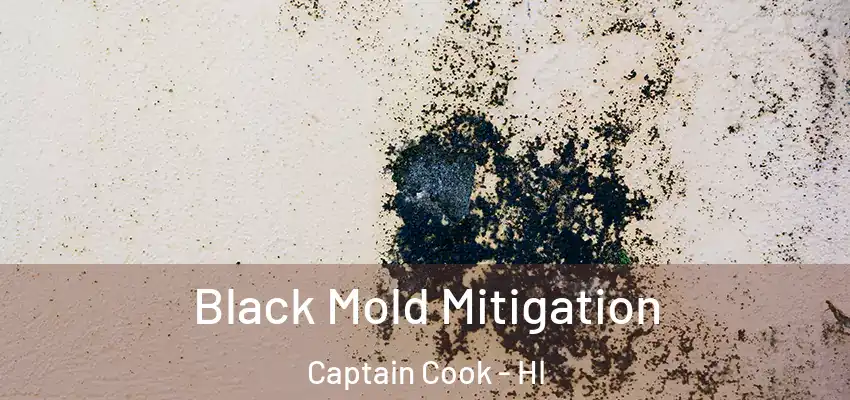  Black Mold Mitigation Captain Cook - HI
