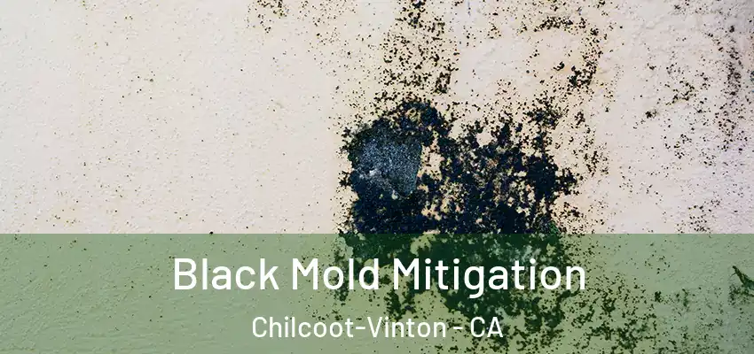  Black Mold Mitigation Chilcoot-Vinton - CA