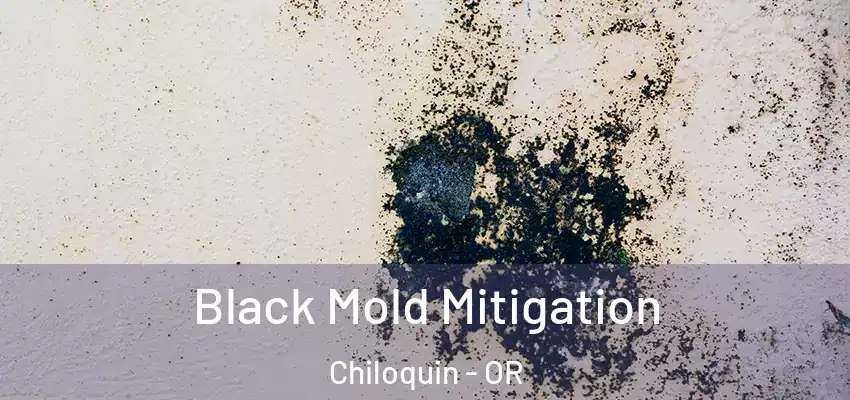  Black Mold Mitigation Chiloquin - OR