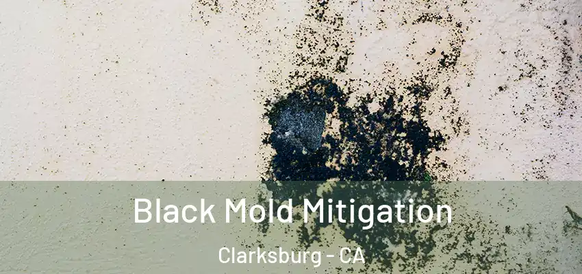 Black Mold Mitigation Clarksburg - CA