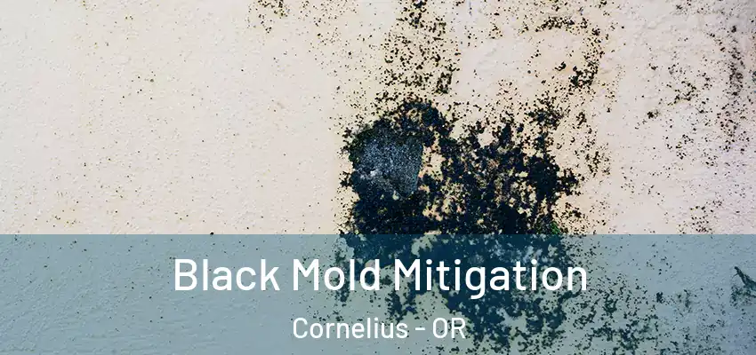  Black Mold Mitigation Cornelius - OR