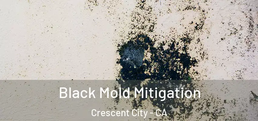  Black Mold Mitigation Crescent City - CA