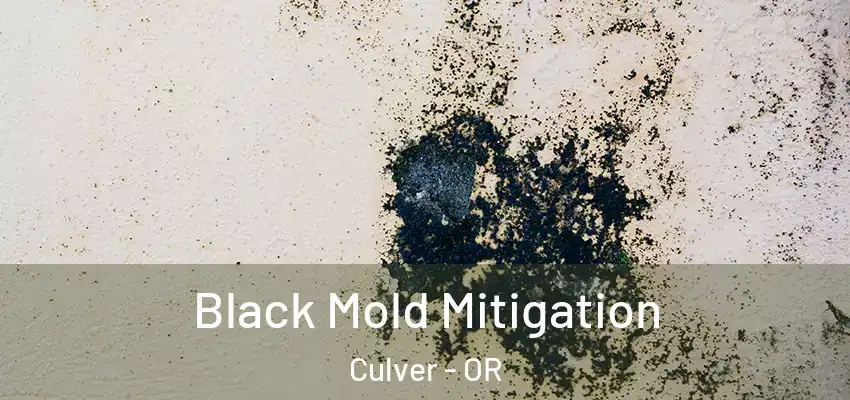  Black Mold Mitigation Culver - OR