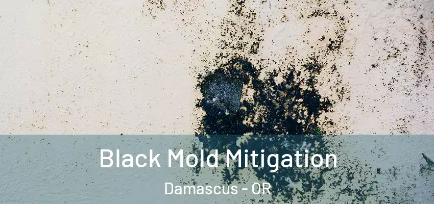  Black Mold Mitigation Damascus - OR