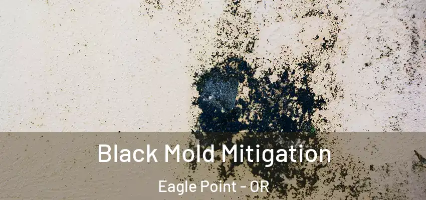  Black Mold Mitigation Eagle Point - OR