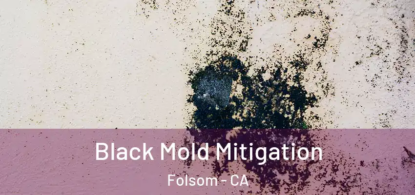  Black Mold Mitigation Folsom - CA