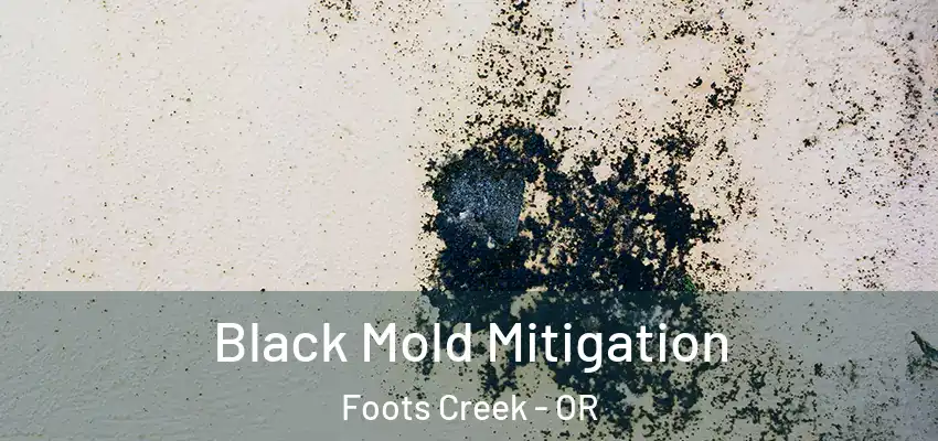  Black Mold Mitigation Foots Creek - OR