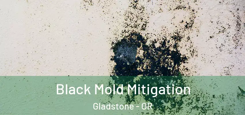  Black Mold Mitigation Gladstone - OR
