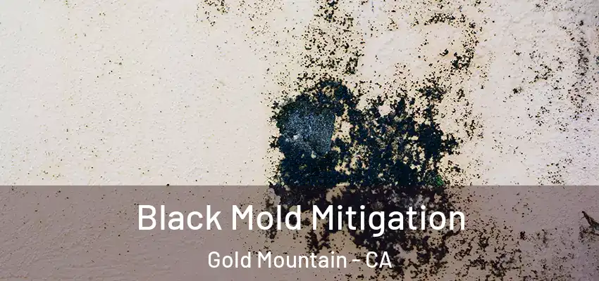  Black Mold Mitigation Gold Mountain - CA