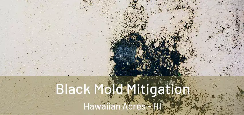  Black Mold Mitigation Hawaiian Acres - HI