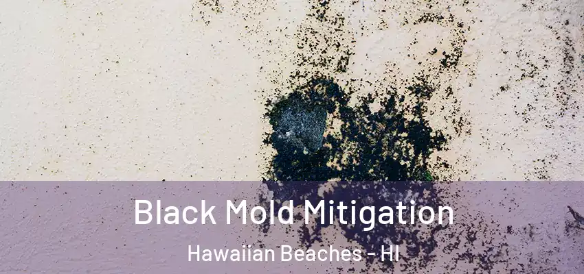  Black Mold Mitigation Hawaiian Beaches - HI