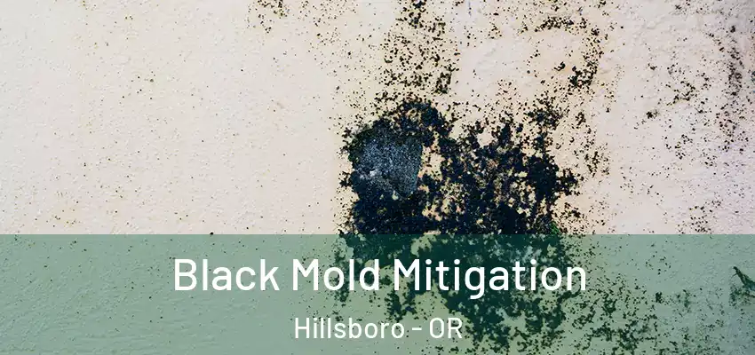  Black Mold Mitigation Hillsboro - OR