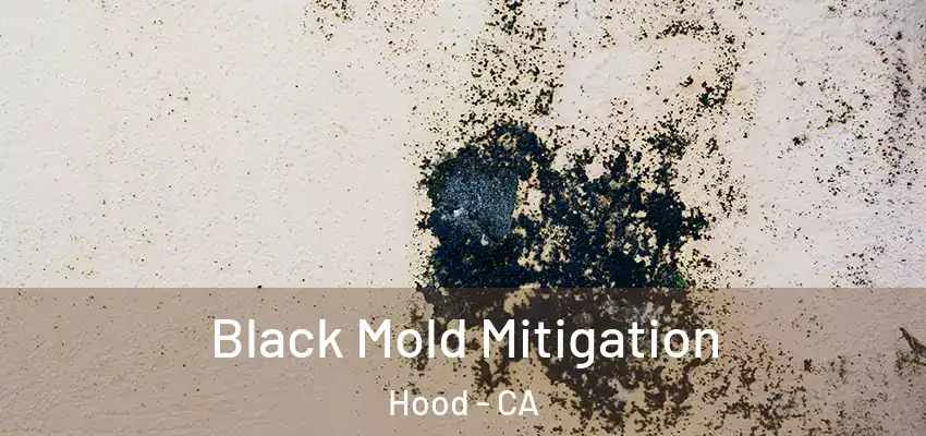  Black Mold Mitigation Hood - CA