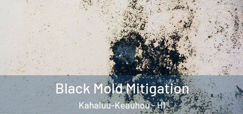  Black Mold Mitigation Kahaluu-Keauhou - HI