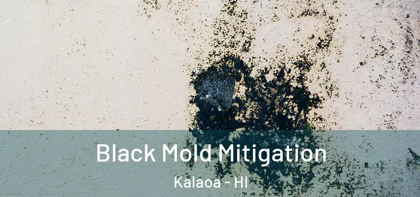  Black Mold Mitigation Kalaoa - HI