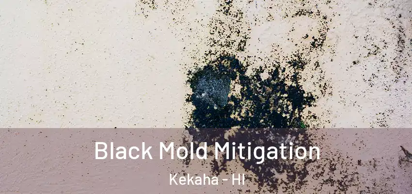  Black Mold Mitigation Kekaha - HI