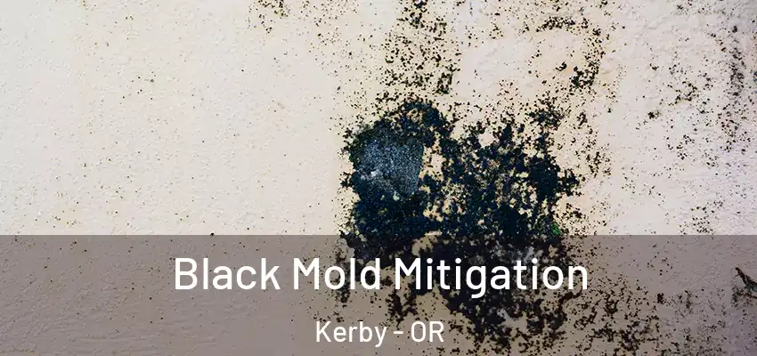  Black Mold Mitigation Kerby - OR