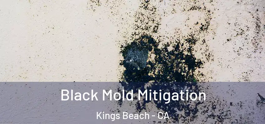  Black Mold Mitigation Kings Beach - CA