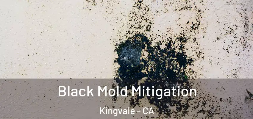  Black Mold Mitigation Kingvale - CA