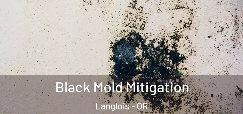  Black Mold Mitigation Langlois - OR