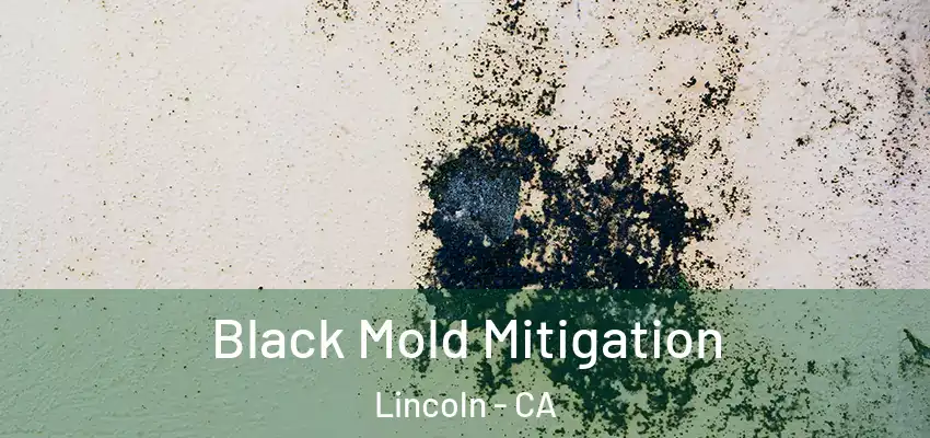  Black Mold Mitigation Lincoln - CA