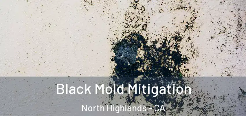  Black Mold Mitigation North Highlands - CA
