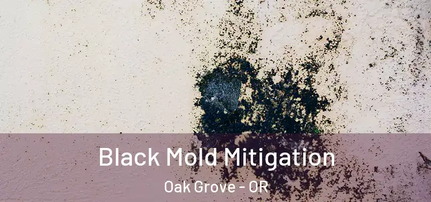 Black Mold Mitigation Oak Grove - OR