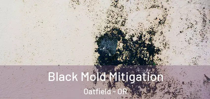  Black Mold Mitigation Oatfield - OR