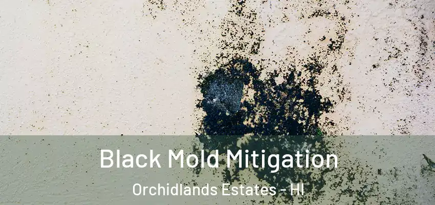  Black Mold Mitigation Orchidlands Estates - HI