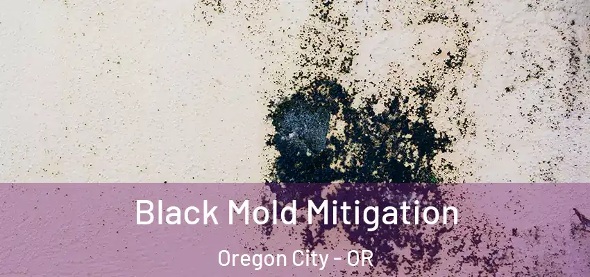  Black Mold Mitigation Oregon City - OR
