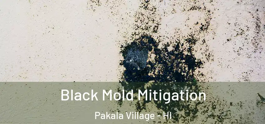  Black Mold Mitigation Pakala Village - HI