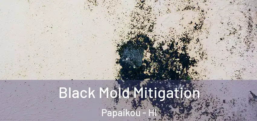 Black Mold Mitigation Papaikou - HI