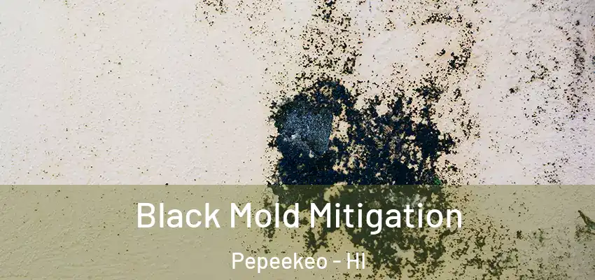  Black Mold Mitigation Pepeekeo - HI