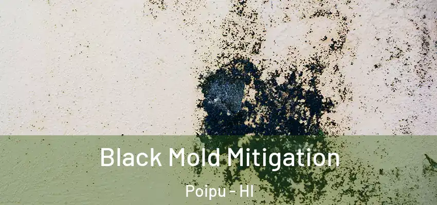  Black Mold Mitigation Poipu - HI