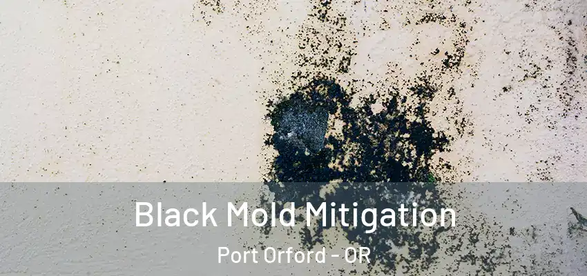  Black Mold Mitigation Port Orford - OR