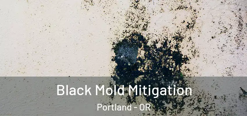  Black Mold Mitigation Portland - OR