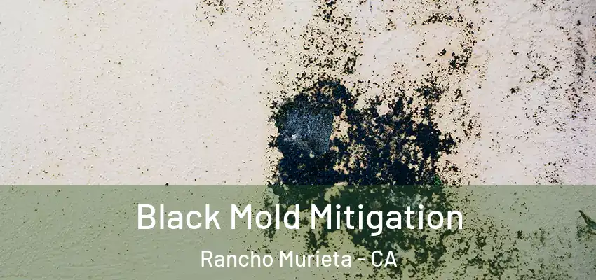  Black Mold Mitigation Rancho Murieta - CA