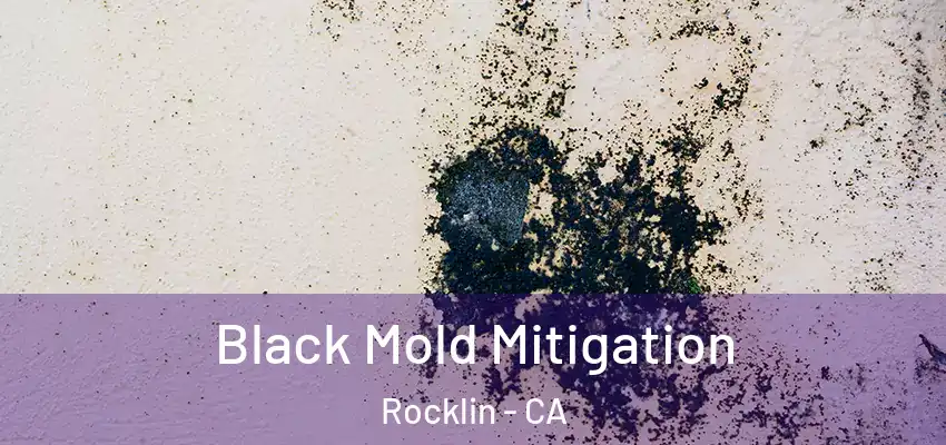  Black Mold Mitigation Rocklin - CA