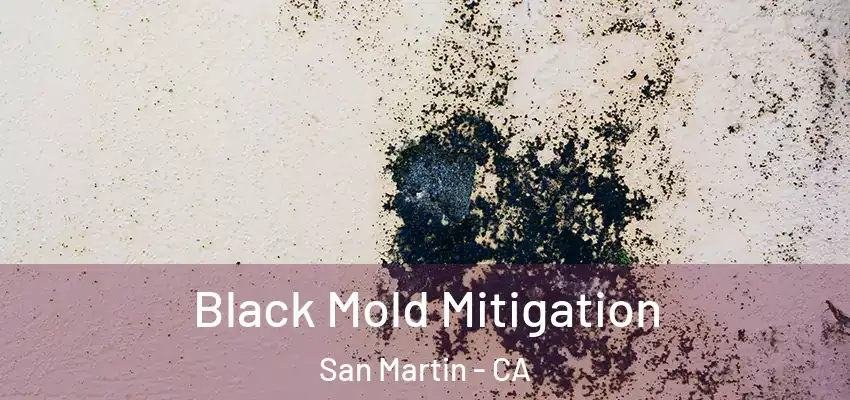  Black Mold Mitigation San Martin - CA