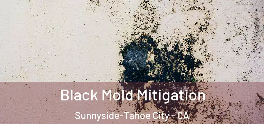  Black Mold Mitigation Sunnyside-Tahoe City - CA