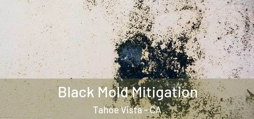 Black Mold Mitigation Tahoe Vista - CA