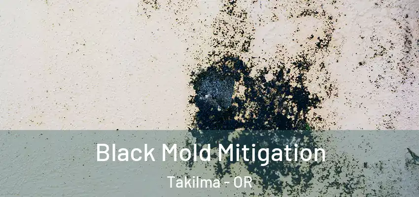 Black Mold Mitigation Takilma - OR