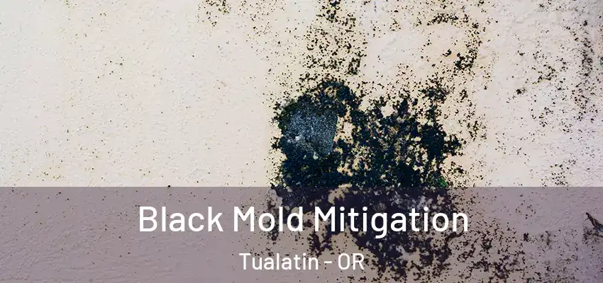  Black Mold Mitigation Tualatin - OR