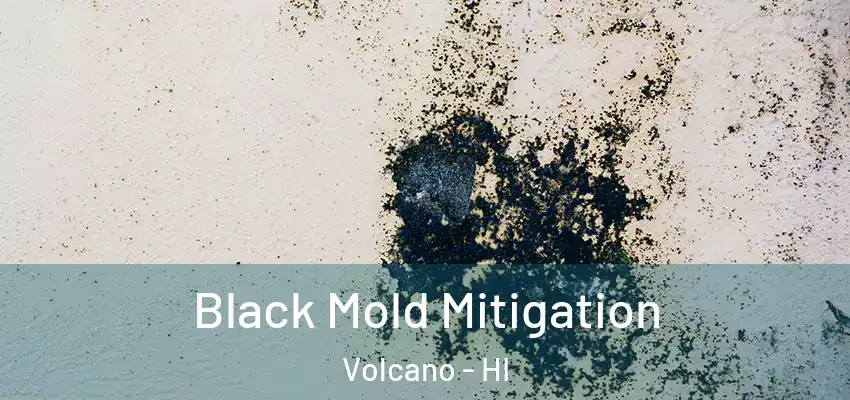 Black Mold Mitigation Volcano - HI