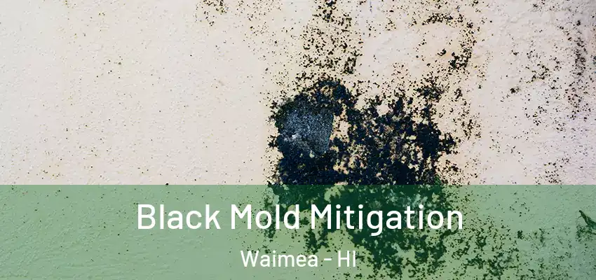  Black Mold Mitigation Waimea - HI